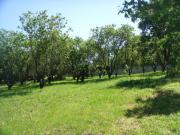 Location de particuliers � particuliers Tr�s zen et �cologique G�te Gard photo 3