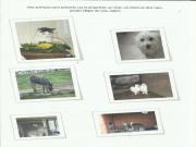 Location de particuliers � particuliers  GITES DE CHARME EN CEVENNES30 G�te Gard photo 2