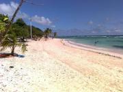 Location de particuliers � particuliers Location vacances Guadeloupe Ti-Soleil G�te Guadeloupe photo 4