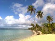 Location de particuliers � particuliers Location vacances Guadeloupe Ti-Soleil G�te Guadeloupe photo 9