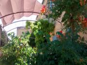 Location de particuliers � particuliers Mas la Vitalis en Provence chambres d'h�tes Chambres d'hotes Vaucluse photo 11