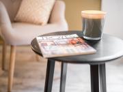 Location de particuliers � particuliers Urban Spa appartement avec Spa privatif Location saisonni�re Aube photo 8