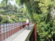 Location de particuliers � particuliers Logis du puy st front � P�rigueux-centre sauvegard� Chambres d'hotes Dordogne photo 6