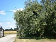 Location de particuliers � particuliers G�te sur la Route des Vins de Bourgogne G�te Sa�ne et Loire photo 9