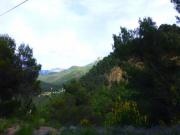 Location de particuliers � particuliers Location, vacances, piscine, campagne, maison, charme, mas G�te Dr�me photo 4