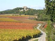 Location de particuliers � particuliers G�te SYRAH, entour� de vignes, entre mer et C�vennes G�te H�rault photo 12