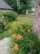 Location de particuliers � particuliers Gite Normand de charme les ch�taigniers  Location saisonni�re Seine Maritime photo 14