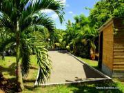 Location de particuliers � particuliers R�sidence Les Palmiers (Bungalows), 5 minutes plages G�te Martinique photo 4