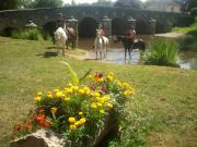Location de particuliers � particuliers Vacances  d�couverte de la bourgogne en chambres d'h�tes  Chambres d'hotes C�te d'or photo 5