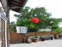 Location de particuliers � particuliers Chambres et table d'hotes avec sauna, La Maison Des Chiens Verts Chambres d'hotes Ain photo 6
