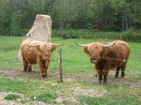 Location de particuliers � particuliers G�te de Senennes G�te Vosges photo 10