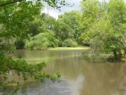 Location de particuliers � particuliers La maison du naturaliste Chambres d'hotes Ille et Vilaine photo 10