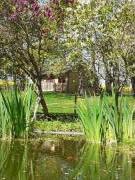 Location de particuliers � particuliers Chalet dans la pature des Ch�vres. G�te Aisne photo 2