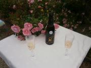 Location de particuliers � particuliers Chambres d'h�tes avec spa au calme Chambres d'hotes C�tes d'Armor photo 12