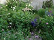 Location de particuliers � particuliers B�vau - G�te et B&B bio/v�gan 2 pers. pr�s de Domr�my-la-Pucelle G�te Vosges photo 11