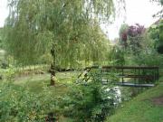Location de particuliers � particuliers Chambre d hote, parc avec �tang, balade en bateau Chambres d'hotes Haute Sa�ne photo 6