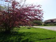 Location de particuliers � particuliers COTE D'OPALE - A la ferme - Douche � l'italienne - Mer, Rivi�re & Animaux... Chambres d'hotes Pas de Calais photo 7