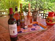 Location de particuliers � particuliers Villa les Tamaris au coeur de la Provence parc r�gional du Verdon Chambres d'hotes Var photo 10