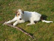 Location de particuliers � particuliers Chambres d'h�tes � Perdigu� Chambres d'hotes Gers photo 6