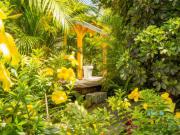 Location de particuliers � particuliers Coco Bungalows pr�s de Sainte-Rose, � proximit� imm�diate mer des Cara�bes G�te Guadeloupe photo 5