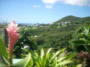 Location de particuliers � particuliers MARTINIQUE Terrasse de 20 m2 face � la mer, Sainte Luce Location saisonni�re Martinique photo 2
