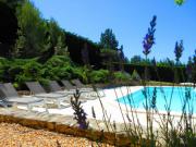 Location de particuliers � particuliers LES LUMIGNONS - PROVENCE - LUBERON - PISCINE PRIVEE Location saisonni�re Vaucluse photo 3