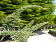 Location de particuliers � particuliers G�te Vent du Large vue panoramique mer acc�s plage et sentier c�tier GR34 G�te Finist�re photo 5
