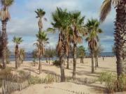 Location de particuliers � particuliers MOBIL HOME 6 PLACES EUROCAMPING ST AYGULF Camping / Mobile-home Var photo 12