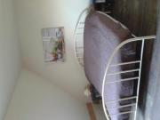 Location de particuliers � particuliers 2 chambres dans charmant village 20 mn du circuit du Mans Chambres chez l'habitant Sarthe photo 4