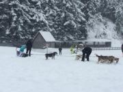 Location de particuliers � particuliers G�te au lac de Payolle-Campan, station familiale de ski, dit le petit Canada G�te Hautes Pyr�n�es photo 14
