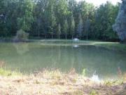 Location de particuliers � particuliers G�TE de z�phirin, entre caussade et Saint antonin Location saisonni�re Tarn et Garonne photo 10