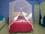 Location de particuliers � particuliers CHAMBRES D'HOTES GUADELOUPE Chambres chez l'habitant Guadeloupe photo 10