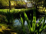 Location de particuliers � particuliers Gites avec piscine entre la Fl�che et le Lude G�te Sarthe photo 9