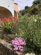 Location de particuliers � particuliers Appartement climatise vue mer et montagne,WIFI Location saisonni�re Pyr�n�es Orientales photo 13