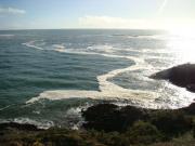 Location de particuliers � particuliers Studio d'h�tes grand confort pr�s de Pont-Aven G�te Finist�re photo 15