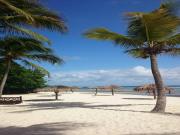 Location de particuliers � particuliers Studio rez de chauss�e cocoteraie - mer et piscine Location saisonni�re Guadeloupe photo 11