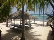Location de particuliers � particuliers Studio rez de chauss�e cocoteraie - mer et piscine Location saisonni�re Guadeloupe photo 13