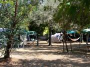 Location de particuliers � particuliers Camping Mauvallon 1 entre Toulon et Hy�res Camping / Mobile-home Var photo 5