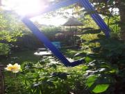 Location de particuliers � particuliers  La cabane du bon chemin, Spa Chambres d'hotes Mayenne photo 6