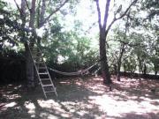 Location de particuliers � particuliers GITE 4 PERSONNES,clos,ombrag�,lac Barbotan les Thermes G�te Gers photo 13