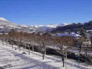 Location de particuliers � particuliers Appartement � la montagne,  300 m�tres des Thermes de La Bourboule Location saisonni�re Puy de D�me photo 7