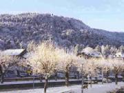 Location de particuliers � particuliers Appartement � la montagne,  300 m�tres des Thermes de La Bourboule Location saisonni�re Puy de D�me photo 9