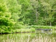 Location de particuliers � particuliers LE GRAND MENASSON G�te Indre et Loire photo 14