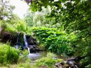 Location de particuliers � particuliers LE GRAND MENASSON G�te Indre et Loire photo 15