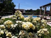 Location de particuliers � particuliers Le-moulin-de-la-pusque sur la rive de la Sorgue Chambres d'hotes Vaucluse photo 3
