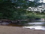 Location de particuliers � particuliers G�te avec piscine priv�e en pleine campagne (2 personnes maximum) G�te Allier photo 15