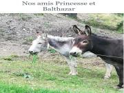 Location de particuliers � particuliers G�te la petite maison de maria G�te Puy de D�me photo 2
