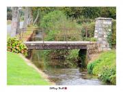 Location de particuliers � particuliers G�TE LA PLANQUETTE - 3 � 5 PERSONNES - AUBIN SAINT-VAAST / PAS - DE - CALAIS G�te Pas de Calais photo 12