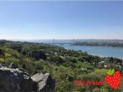 Location de particuliers � particuliers TY Freizh � Plougastel : charmant meubl� de tourisme 2** pour 2p Location saisonni�re Finist�re photo 11