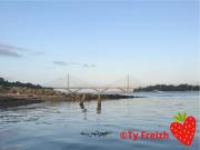 Location de particuliers � particuliers TY Freizh � Plougastel : charmant meubl� de tourisme 2** pour 2p Location saisonni�re Finist�re photo 14